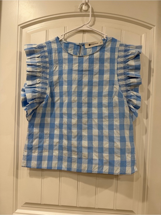 The Impeccable Pig Tops - EUC The Impeccable Pig Blue and White Gingham Ruffle Sleeve Top